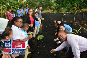Regional participa en la 6ta etapa de instalaci&oacute;n de Huertos Escolares