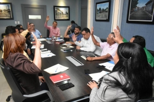 Junta Regional 07 aprueba POA 2020